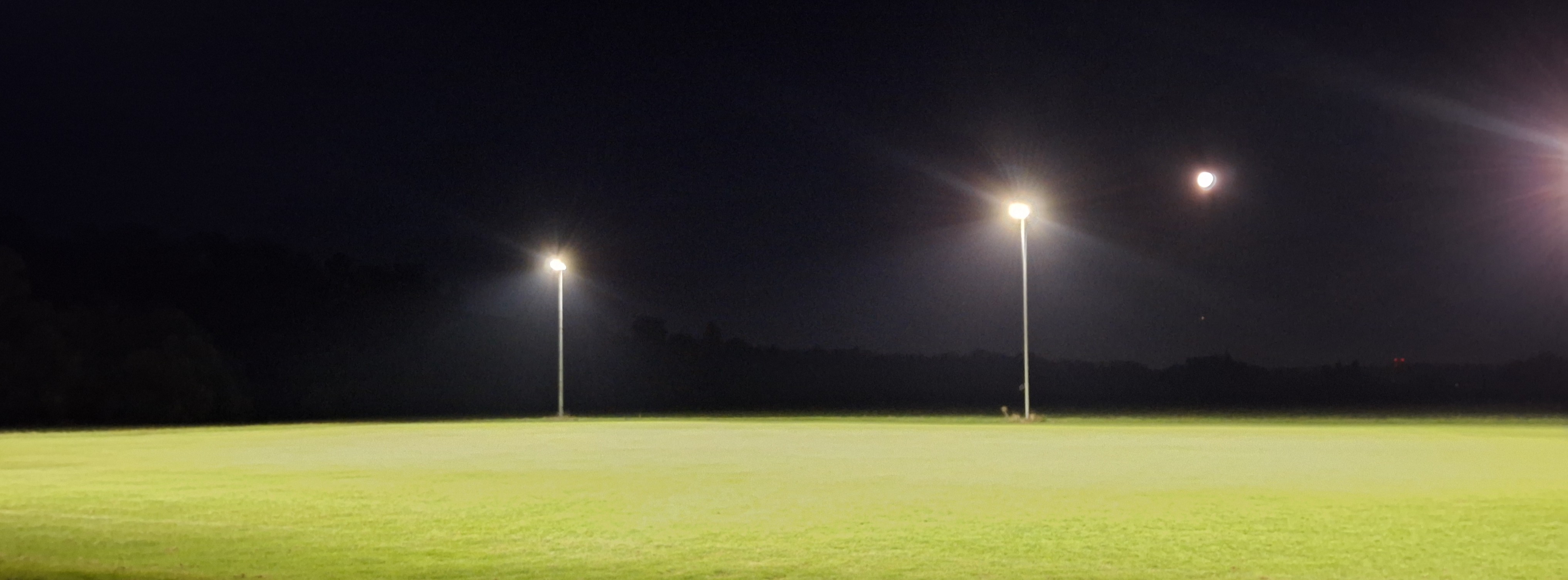 jederzeit optimale Ausleuchtung! da strahlt auch der Mond mit! 20250807 220711